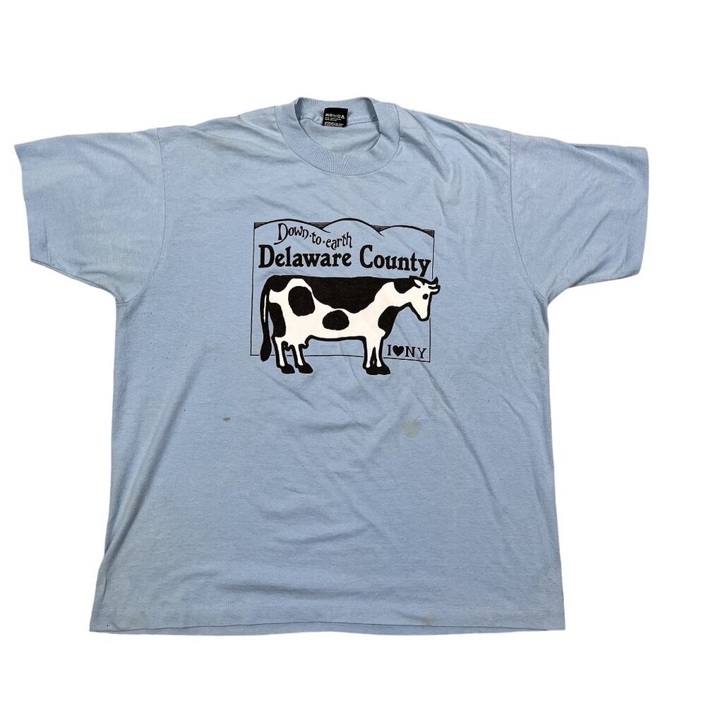 VTG Screen Stars Down to Earth Delaware County New York Blue T-Shirt Size XXL‎